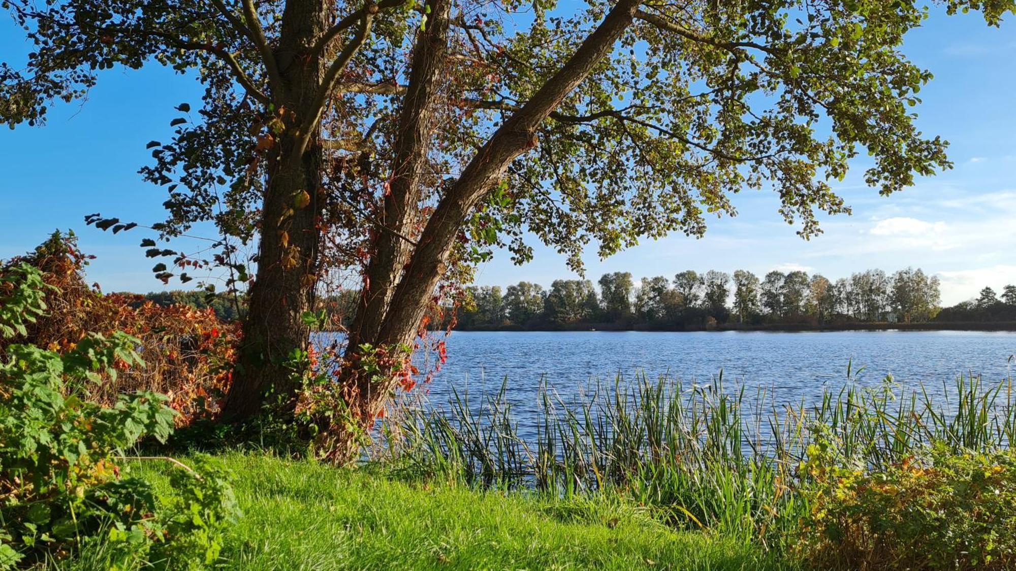 Hotel & Restaurant Haus Am See Locknitz Esterno foto